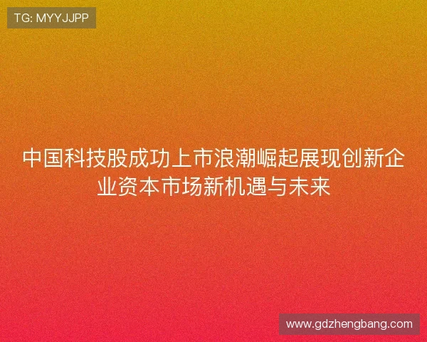 中国科技股成功上市浪潮崛起展现创新企业资本市场新机遇与未来